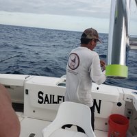 Cancun Kianah's Sportfishing - All You Need to Know BEFORE You Go