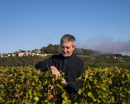 vineyards to visit in sancerre
