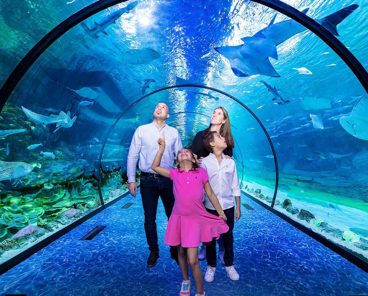 THE NATIONAL AQUARIUM ABU DHABI All You Need to Know BEFORE You Go