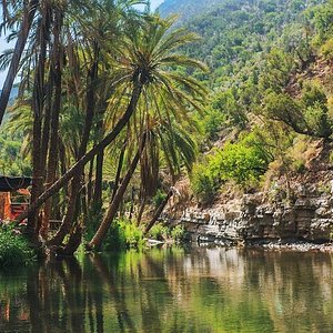 Tripadvisor, Agadir ou taghazout para excursão ao Paradise Valley + café  da manhã com argan: experiência oferecida por Agadir Attractions