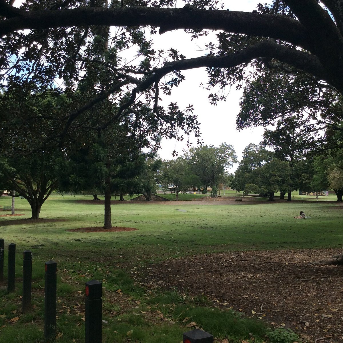 Musgrave Park (Brisbane) All You Need to Know BEFORE You Go