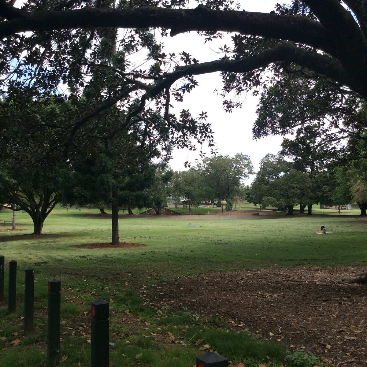 Musgrave Park (Brisbane) All You Need to Know BEFORE You Go