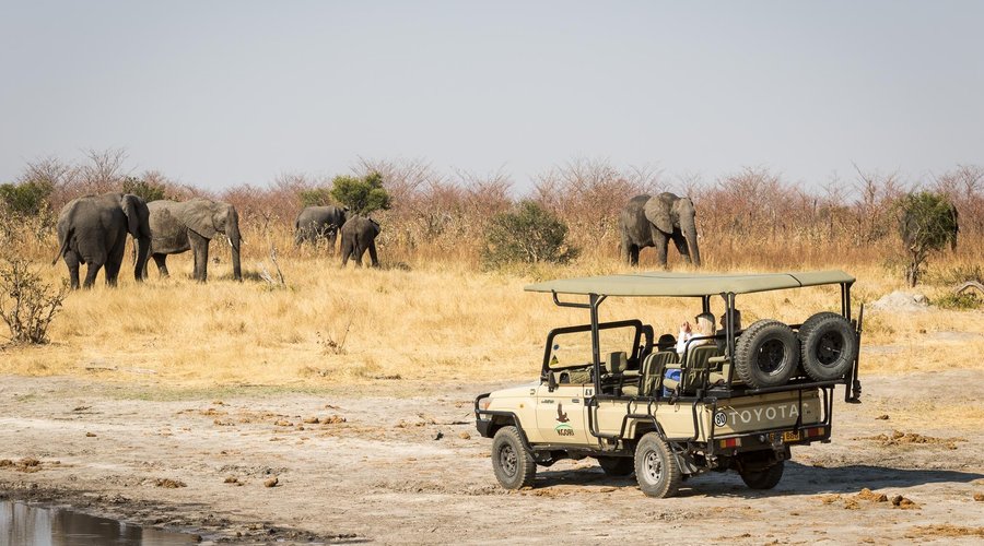 Game drives with elephants. 