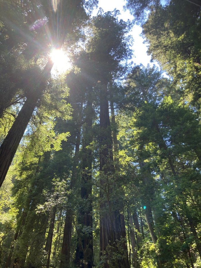 Shelter Cove RV & Campground (Californie) tarifs 2025