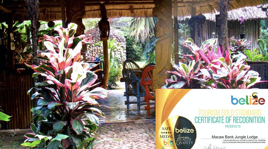 Gold Standard Certificate 