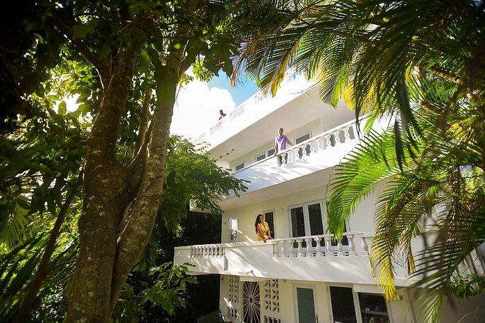 Casa Alternavida - UPDATED 2023 Reviews & Photos (Rio Grande, Puerto Rico) - Guesthouse - Tripadvisor