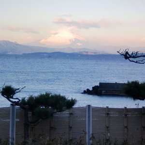 早朝、客室から撮影。