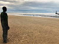 A nasty skin rash? - Picture of Crosby Beach - Tripadvisor