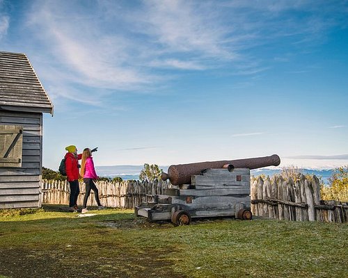 punta arenas free tour