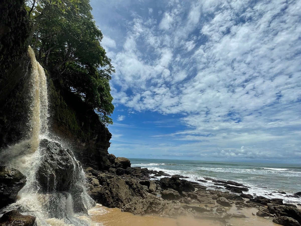 cabo blanco tours montezuma