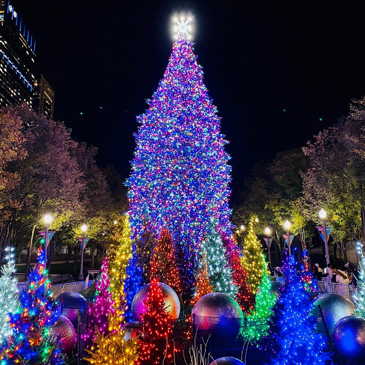 Magnificent Mile Holiday Lights Walking Tour (North Chicago, IL): Hours ...
