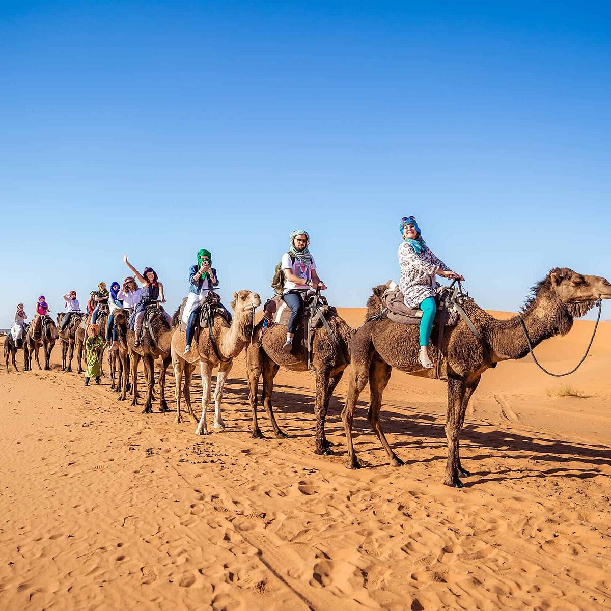 group travel morocco