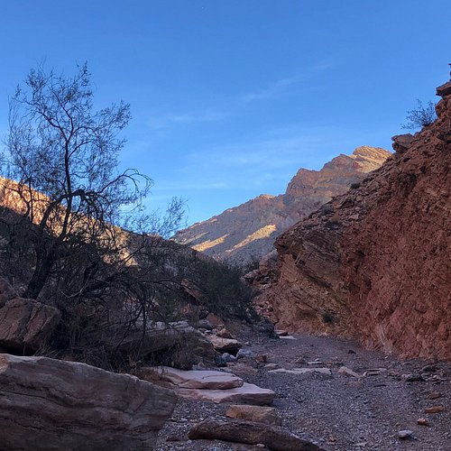 The 8 Best Hiking Trails In Las Vegas And Surrounding Areas