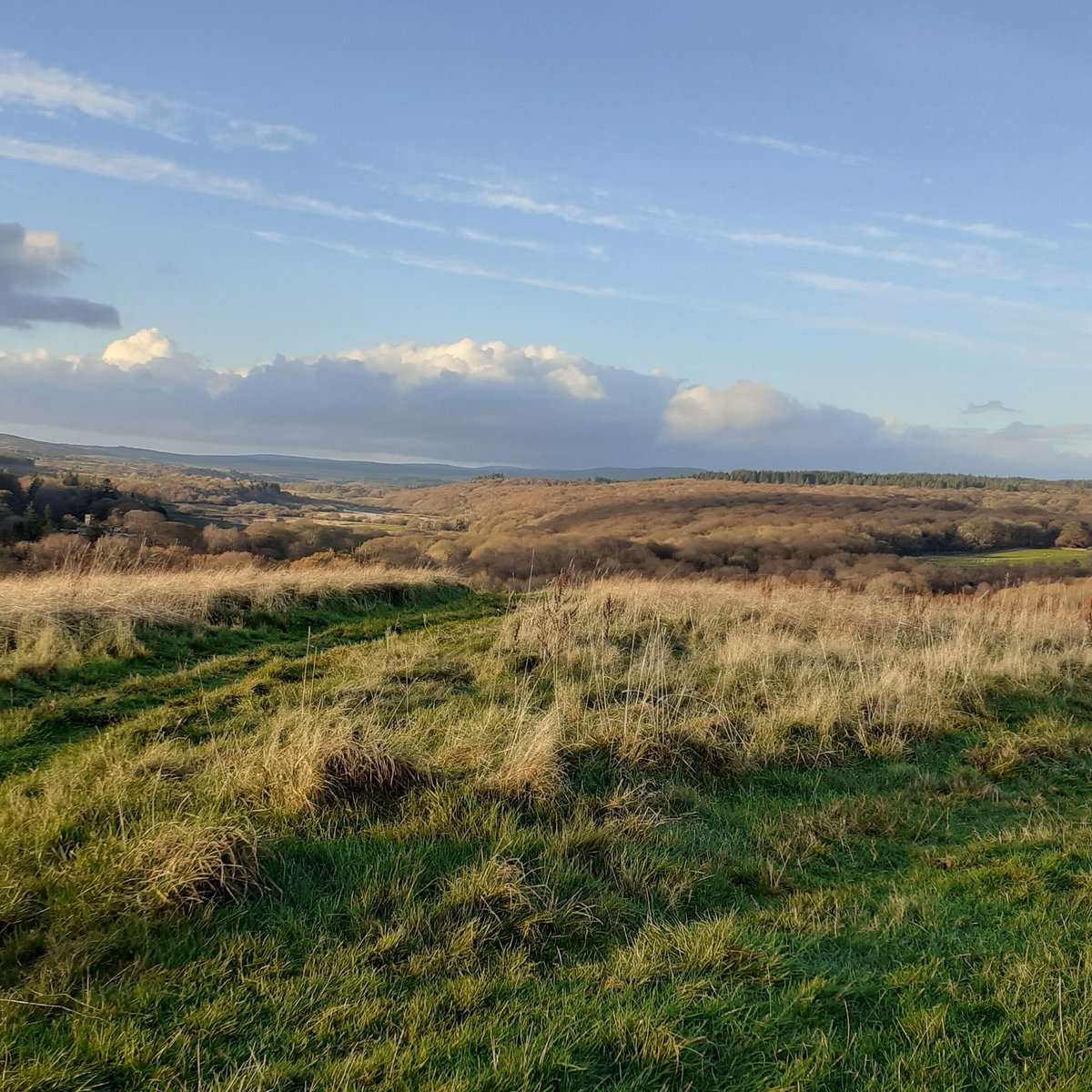 RSPB WOOD OF CREE (Newton Stewart) - All You Need to Know BEFORE You Go