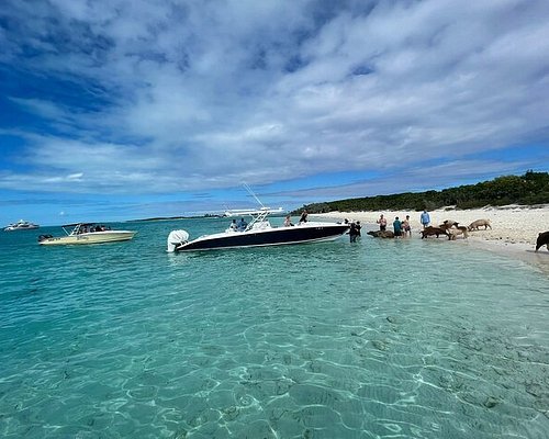 nassau bahamas boat tours
