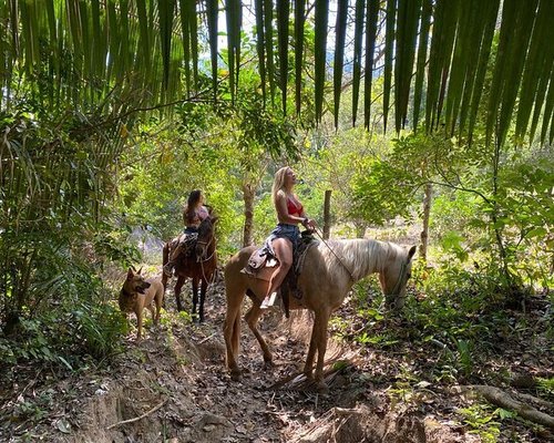 THE 10 BEST Puerto Vallarta Nature & Wildlife Tours (Updated 2023)