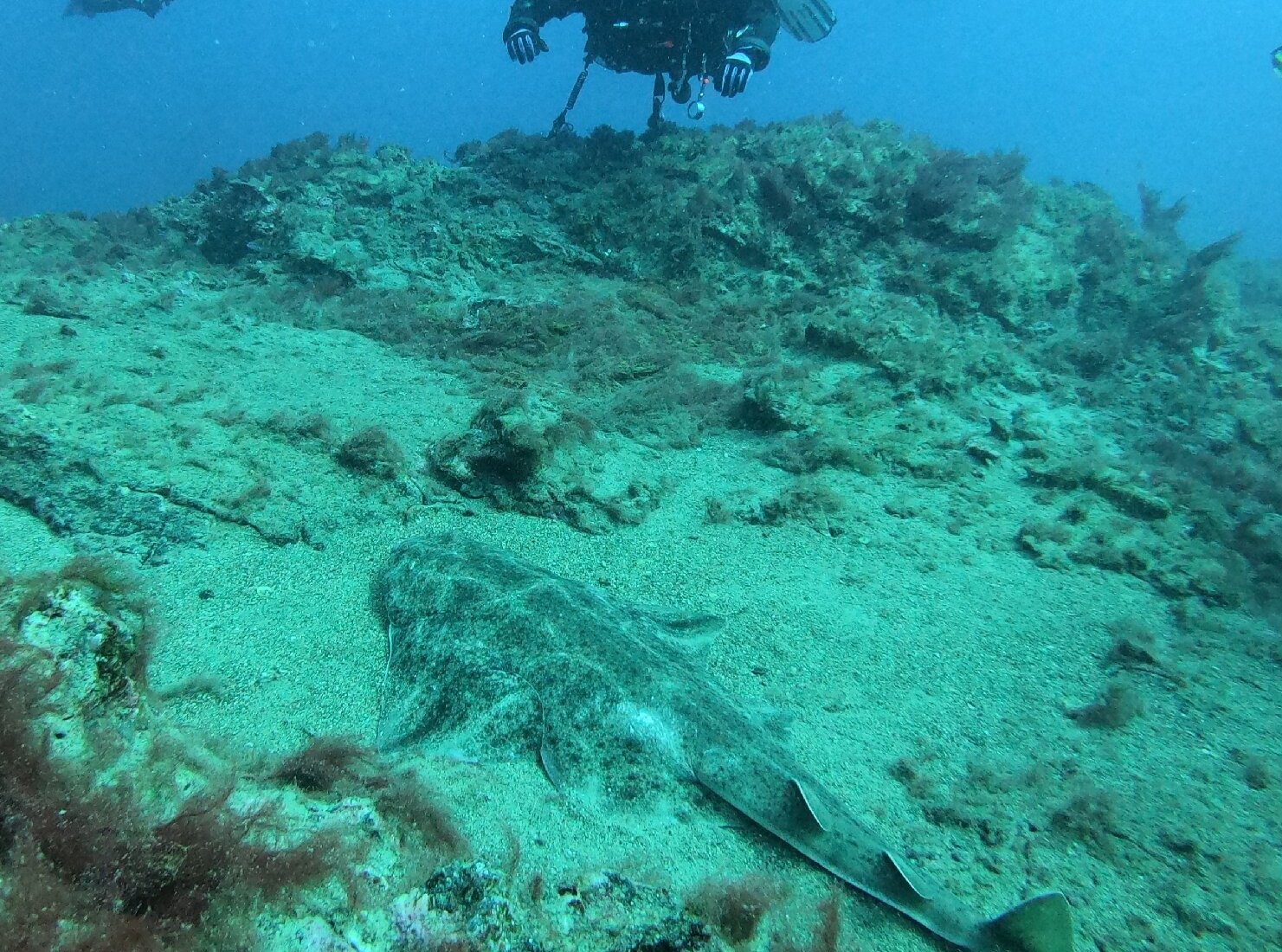 aquanautic-club-lanzarote-puerto-del-carmen-lohnt-es-sich