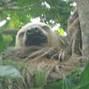 NatureExplorerGal