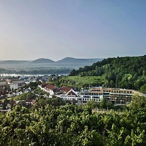 Steigenberger Hotel and Spa, Krems, Austria - Exterior