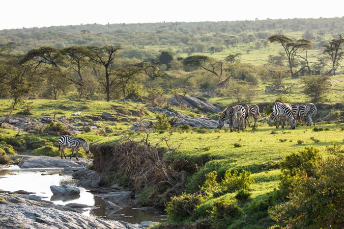 GREAT PLAINS CONSERVATION MARA NYIKA CAMP - Updated 2024 Campground ...