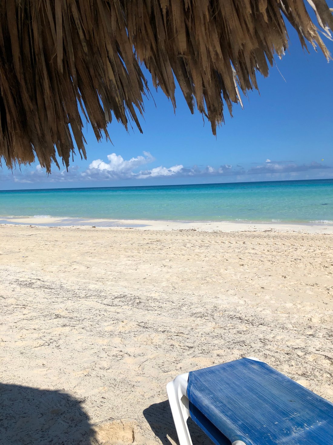 Os 10 Melhores Hotéis Cayo Coco 2022 Com Preços E Fotos Tripadvisor 2692