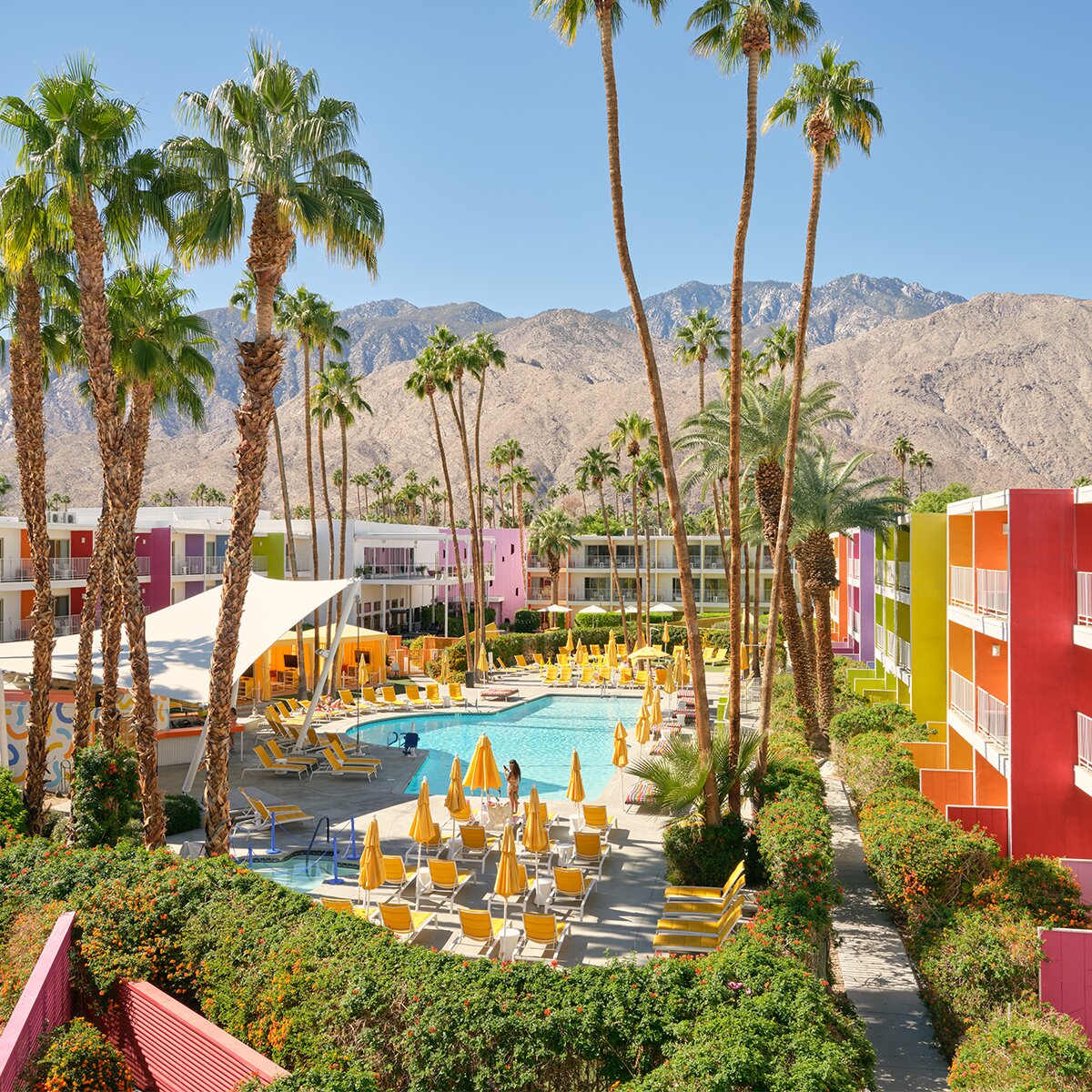 Hotel photo 105 of The Saguaro Palm Springs.