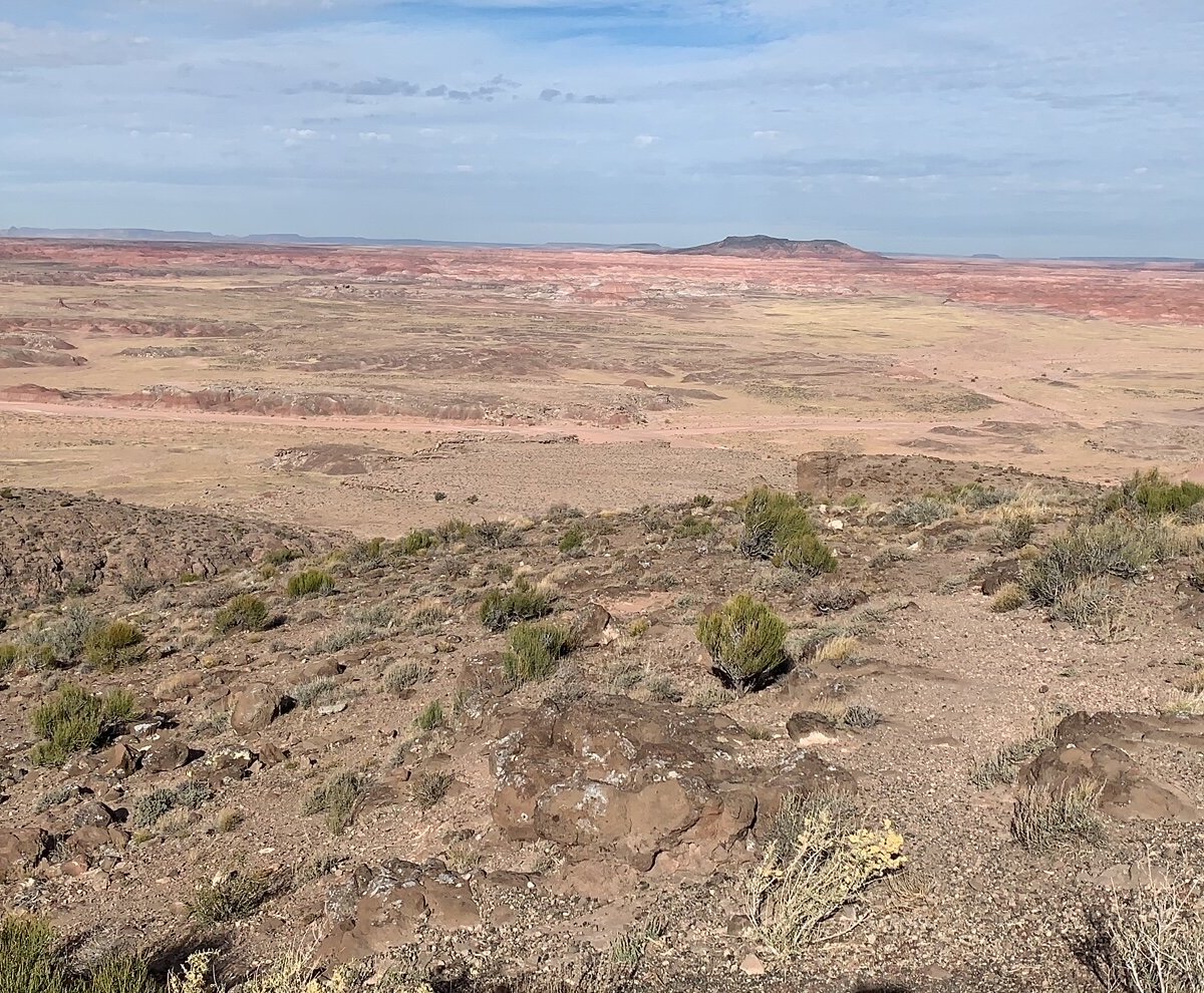 Pintado Point (Petrified Forest National Park) - All You Need to Know ...