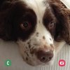 Tracey O
