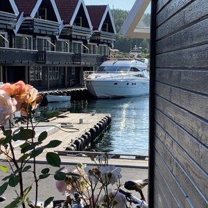 Trysnes Brygge, en godt bortgjemt perle i sjøkanten!