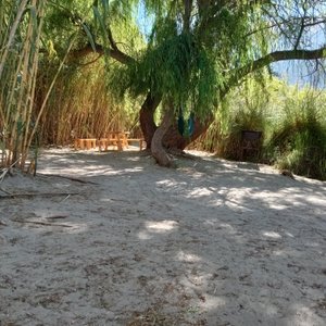 Sitio Limari