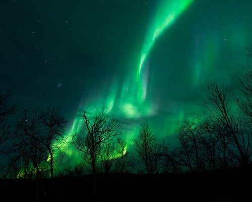 El tour más largo de la aurora boreal en Kiruna con cena