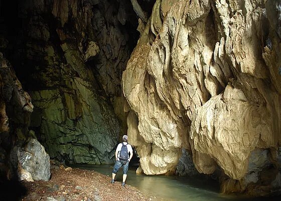 Cuevas de Toluviejo image