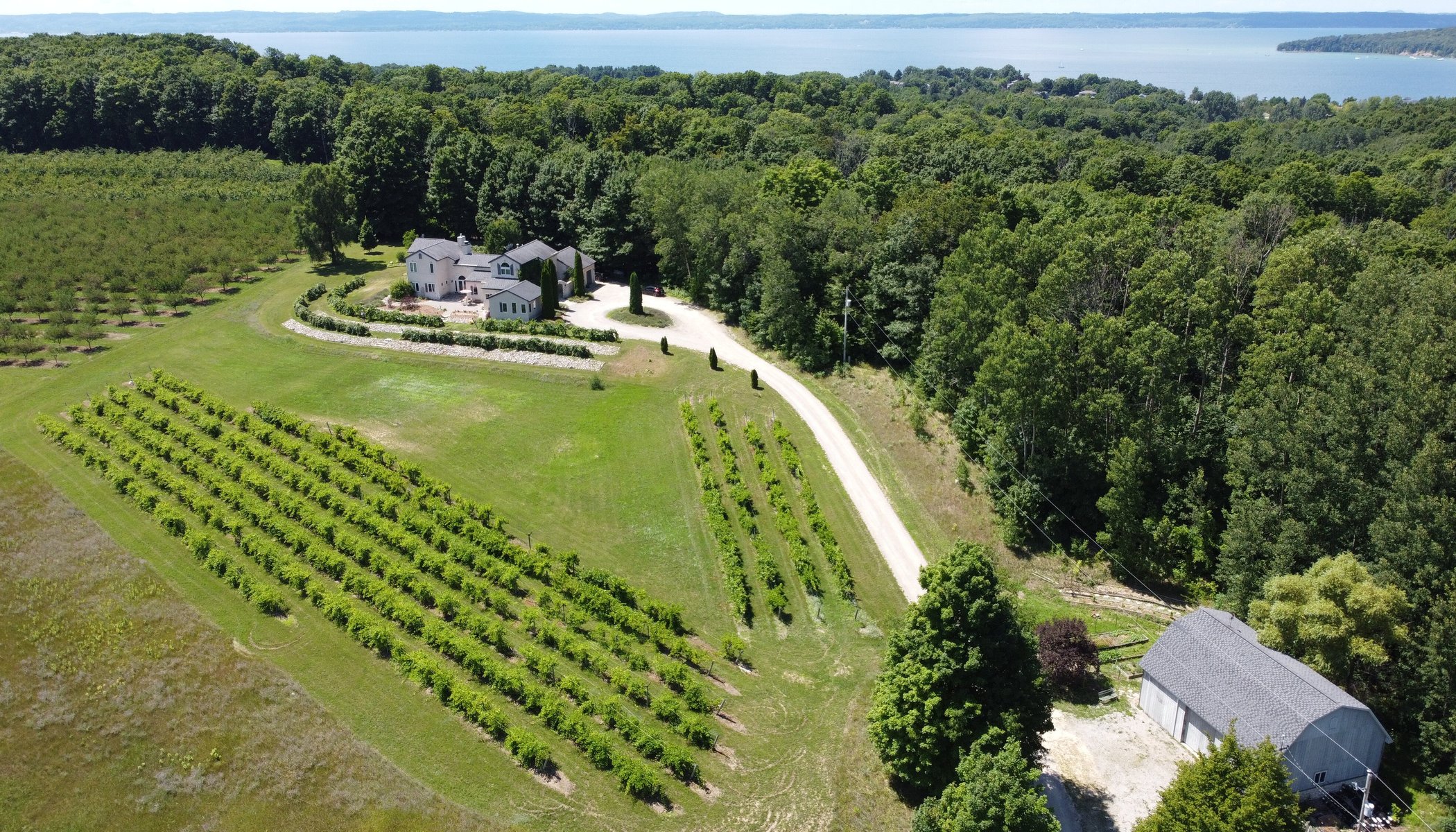 Grey Hare Inn Vineyard Bed and Breakfast by null