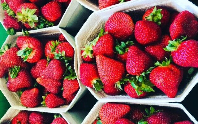 We only use recyclable punnets