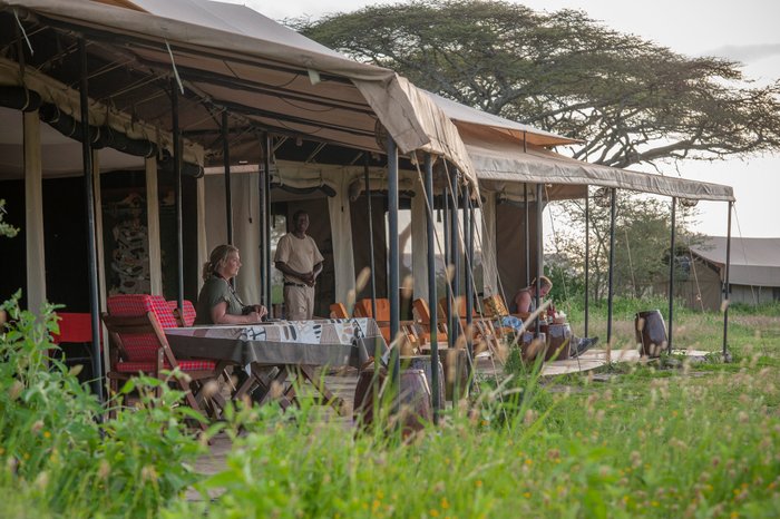 Top 5 tented migration camps in Tanzania