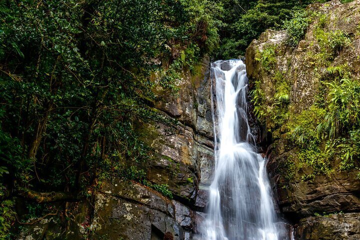 2023 El Yunque Rainforest Experience