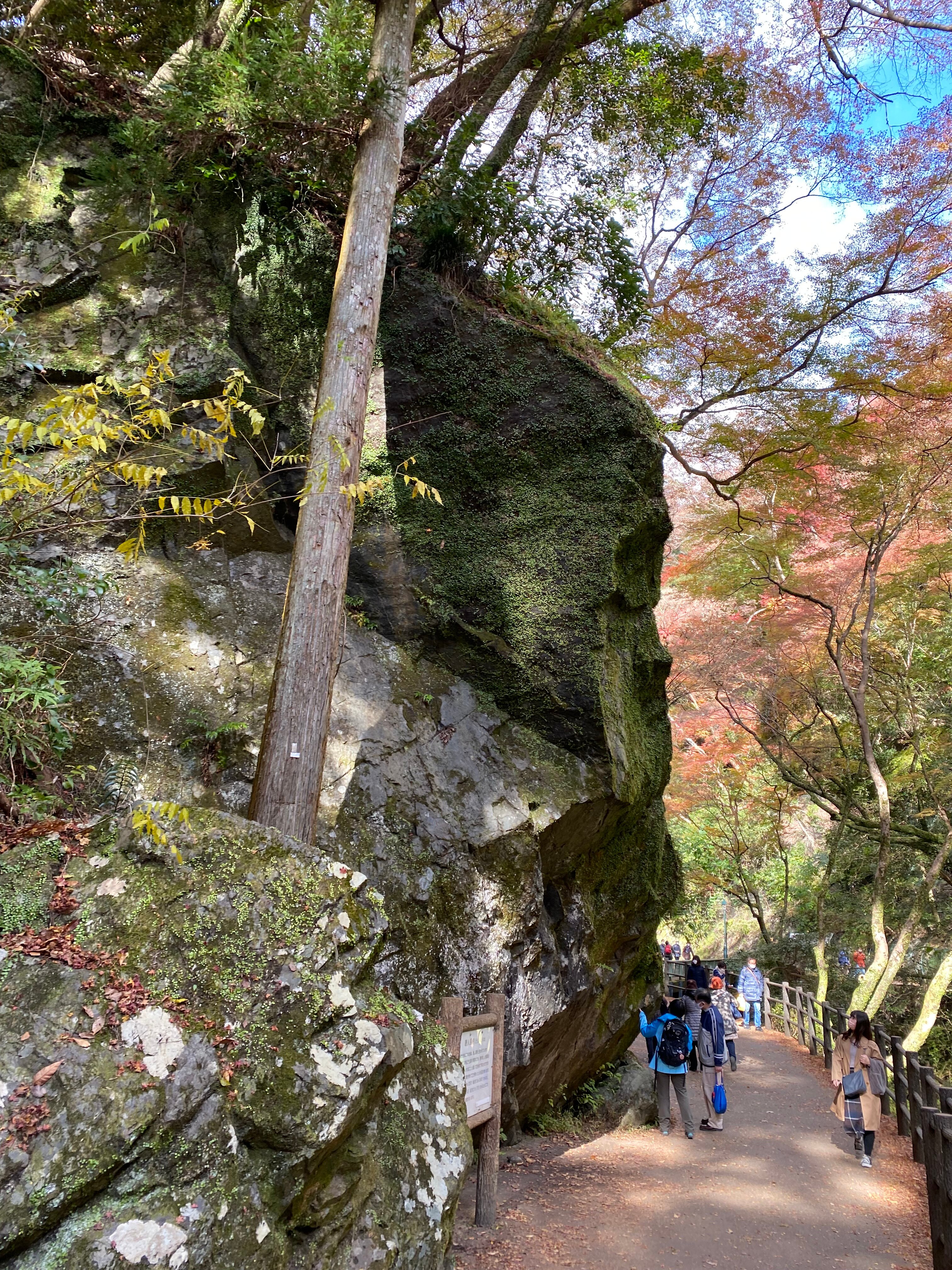 2024年 唐人戻岩 - 出発前に知っておくべきことすべて - トリップアドバイザー