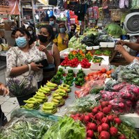 2023 Merida Street Food Walking Tour