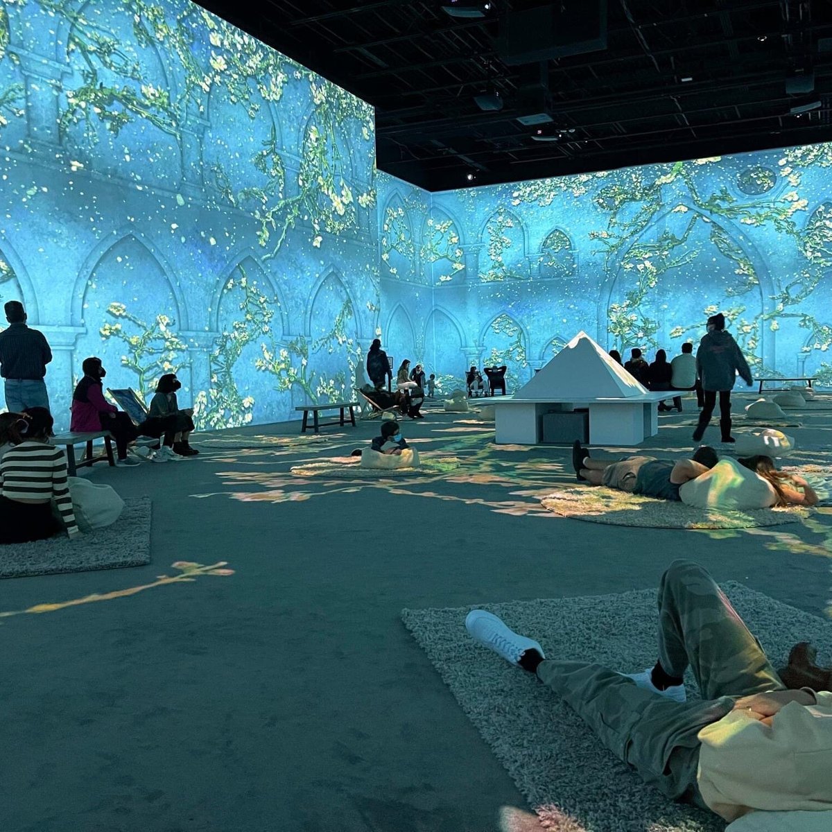 Immersive Van Gogh Exhibit Houston (Χιούστον, Τέξας) - Κριτικές ...