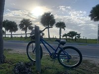 JERSEY TROPICAL CLUB FIT - Eaton Bikes Key West