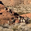 ghost towns in nevada list R3003OAjimt