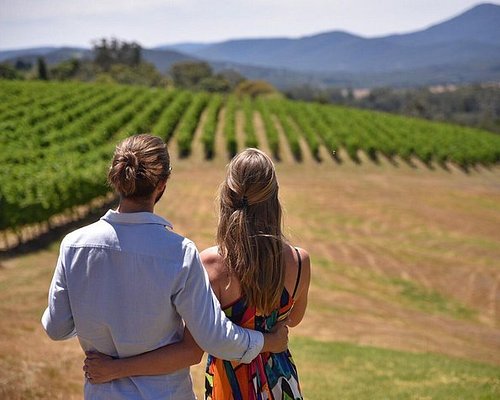 tours of yarra valley