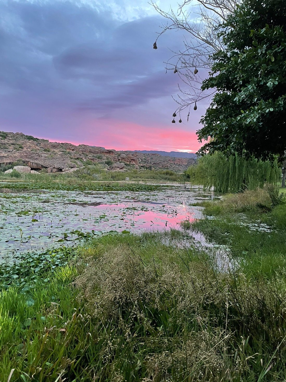 Bushmans Kloof Wilderness Reserve & Wellness Retreat - Updated 2024 