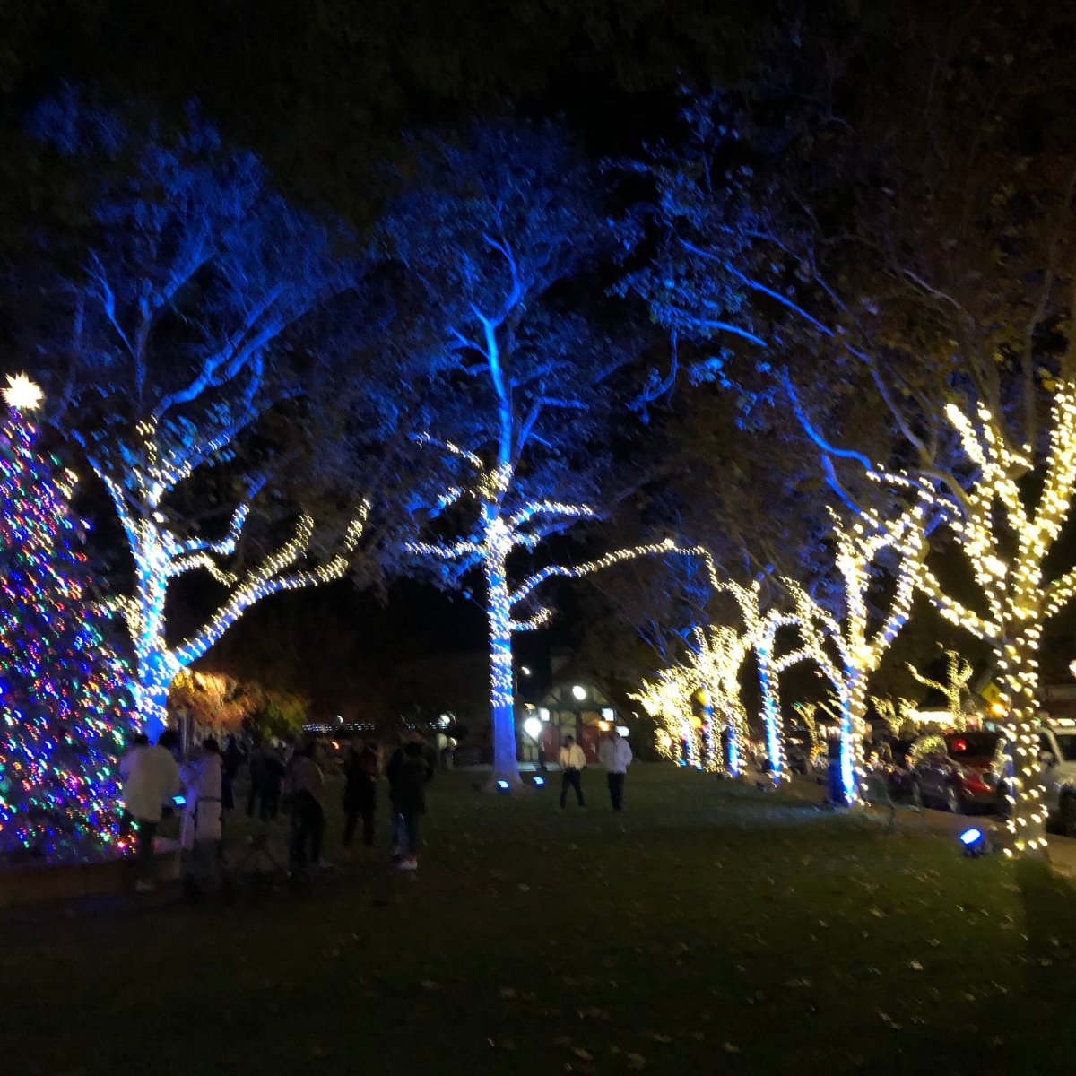 Solvang Park - All You Need to Know BEFORE You Go (with Photos)