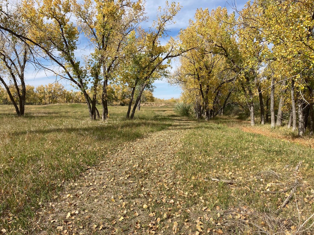 Escape to Shadehill: Where the Prairies Meet the Pines