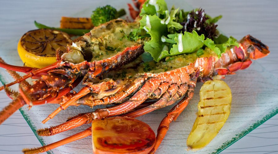 Grilled Lobster