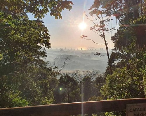 4 trilhas em SC para caminhada que você pode fazer com vista para o mar