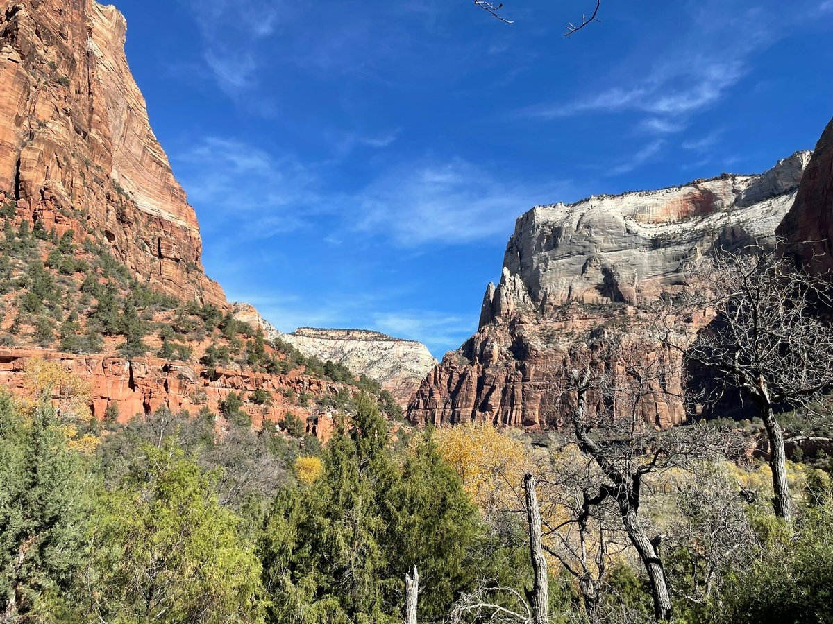 WATCHMAN CAMPGROUND - Updated 2024 Reviews (Zion National Park, UT)