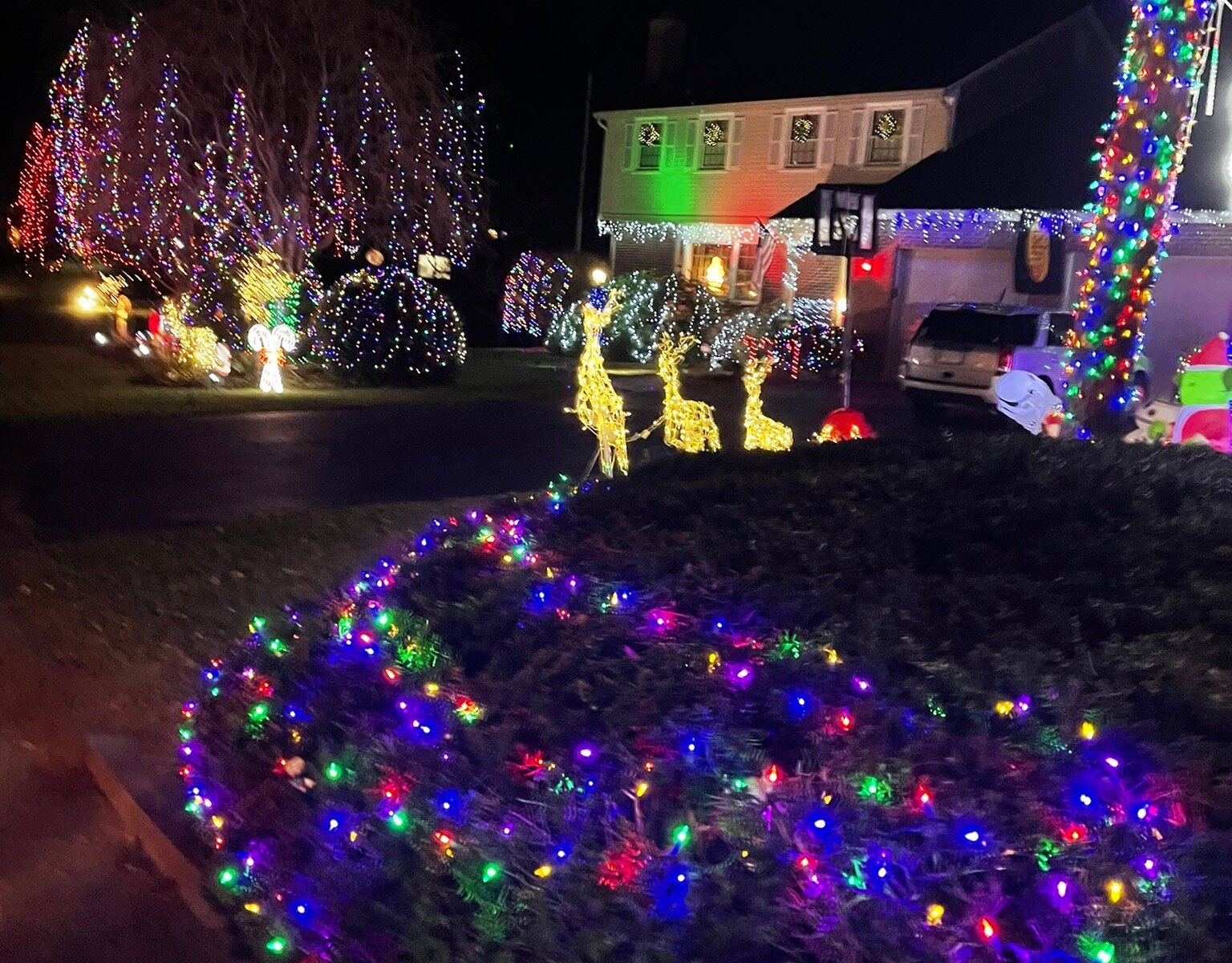 South Shore Sights and Lights Holiday Trolley Tour (Quincy) All You