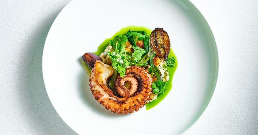 Octopus
